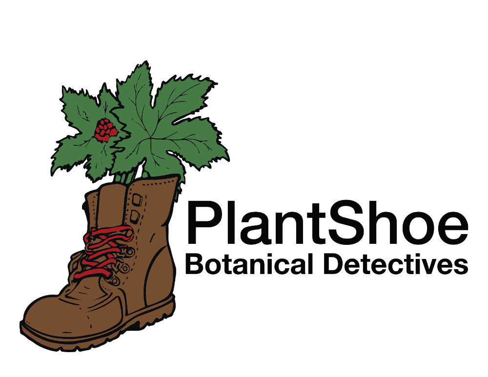 PlantShoe Logo